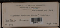 Image Associated With the Occurence